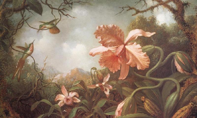 Martin Johnson Heade The Hummingbirds and Two Varieties of Orchids oil painting picture